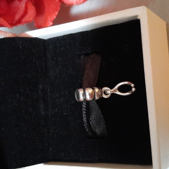 Wishbone Pandrora Charm - Picture 4 of 7